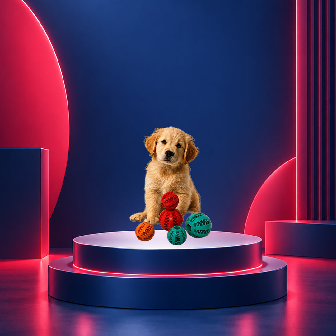 NexaMart Pet Chew Toy with Food Dispenser